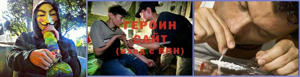 индика Богородск