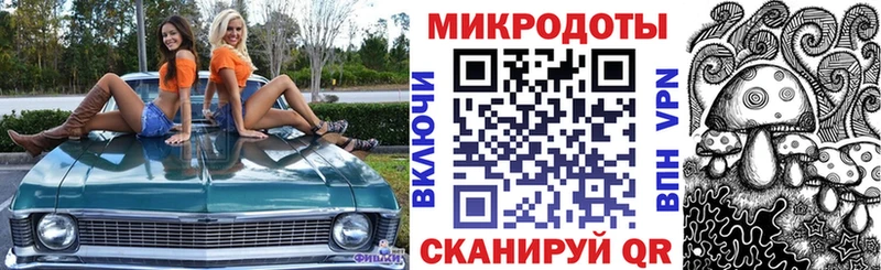 kraken   Лесной  Псилоцибиновые грибы Psilocybe 